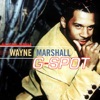 Wayne Marshall