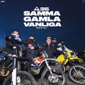 Samma gamla vanliga artwork