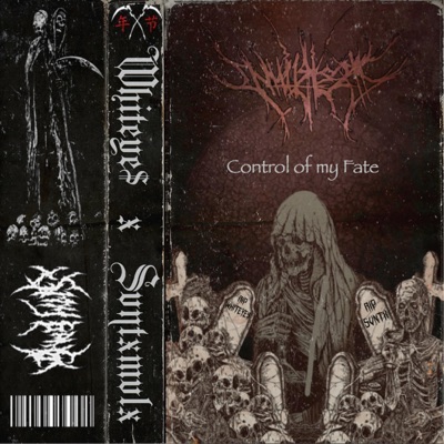 Control of My Fate (feat. Svntxmvlx) - Single