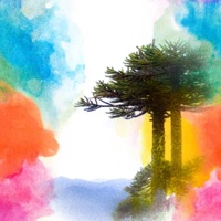 Shadows - Single - Cesante