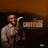 Gratitude (Praise Medley) - Single