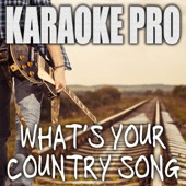 What's Your Country Song (Originally Performed by Thomas Rhett) [Instrumental Version] artwork