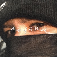 Mess of a Mind - Jarne