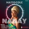 Nabay (Travellerz Remix) artwork