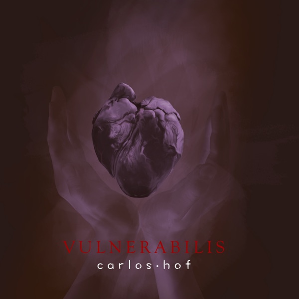 Vulnerabilis