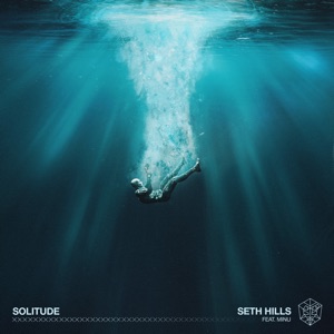 Solitude (feat. MINU) - Single