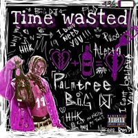Time Wasted - Single - PalmtreeBigDj