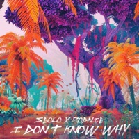 I Don't Know Why - Single - Seolo & RodNie