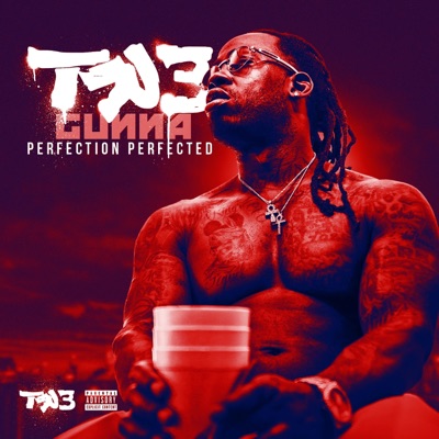 Perfection Perfected - Single