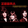 Zebra - Who's Behind the Door?
