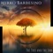 The Cursed Mirror (feat. MKB) - Mirko Barbesino lyrics