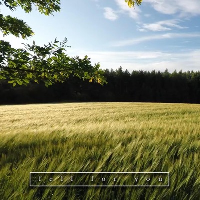 Fell for You - Single