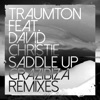 Saddle Up (Crazibiza Remix) (feat. David Christie)