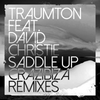 Saddle Up (Crazibiza Remix) (feat. David Christie)