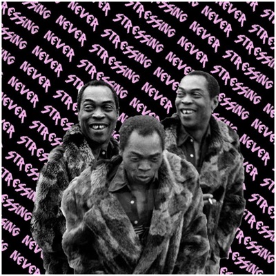 Never Stressing (feat. KA$H, dndSection & New World Ray) - Single