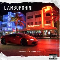 Lamborghini (feat. Tommy Gunn) - Single - MaskiBeats