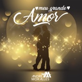 Meu Grande Amor artwork