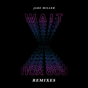 Wait For You (Akopp Remix)
