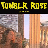 Tumblr Rose (feat. LUIS) - Single - Ckk