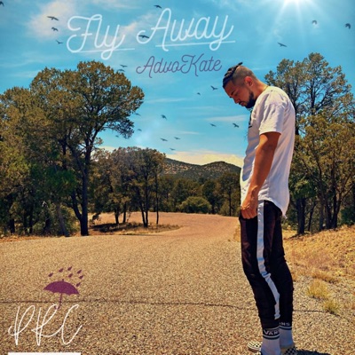 Fly Away - Single