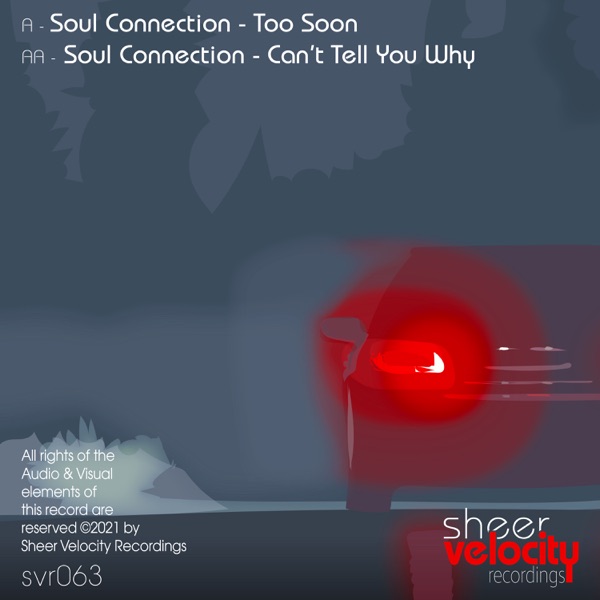Too Soon / Can't Tell You Why - Single