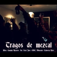 Tragos de mezcal (feat. Bizarro Fat Fast, Alvarado Calavera, Jase odc & Kire) - Single - Miss Ganjah