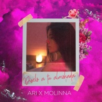 Díselo a Tu Almohada - Single - ARI & Molinna