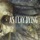 As I Lay Dying-Within Destruction