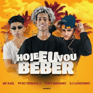 Hoje Eu Vou Beber (feat. DJ Luanzinho)