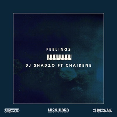 Feelings (feat. Chaidene) - Single