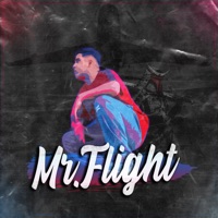 Mr.Flight - Single - Dsorden Invierbo