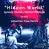 Hidden World (Sebastian Haas Remix) song reviews