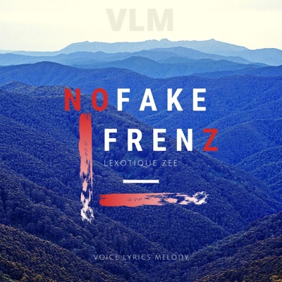 No Fake Friends - Single