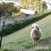 anticlimax - Single