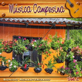 Me Siento Enfermo Los Canarios