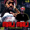 Mali Mali (feat. Jorge Shine) - Single