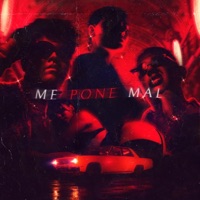 Me Pone Mal (feat. Apolo) - Single - Rulo