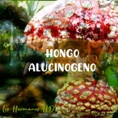 Hongo Alucinógeno artwork