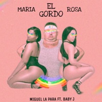 María La Punta De La Ñema Mia (feat. Miguel La Para) - Single - Baby J Produciendo