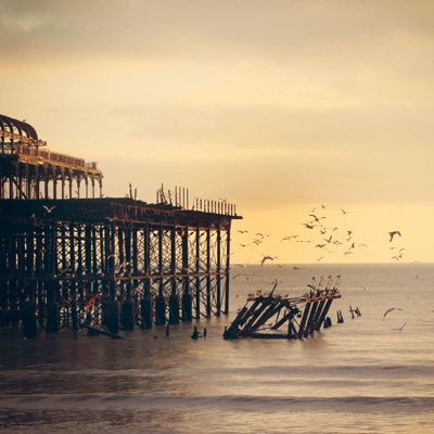 Memory Trails - Single