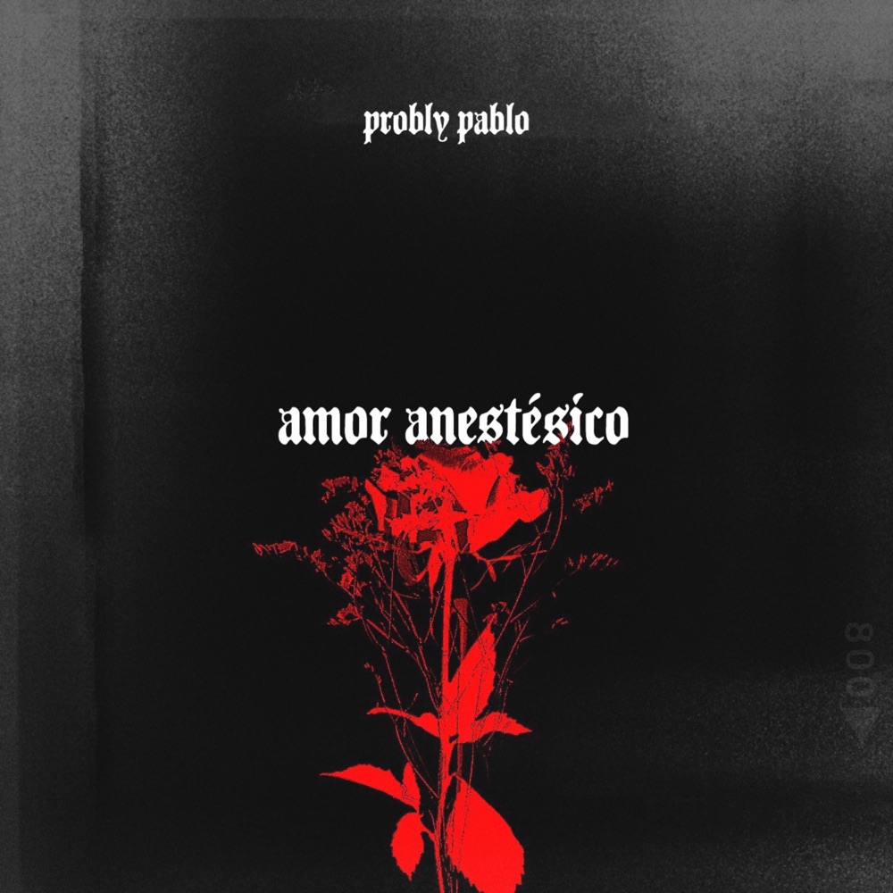 Обложка альбома «Amor Anestesico - Single» — Probly Pablo