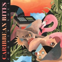 Caribbean Bites - Cookin Soul