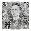 Dark Horse - Devin Dawson