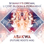 Abakwa (Future Roots Mix) - Single