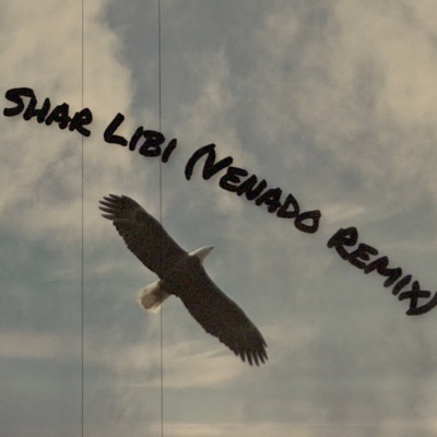 Shar Libi (feat. Orka) - Single