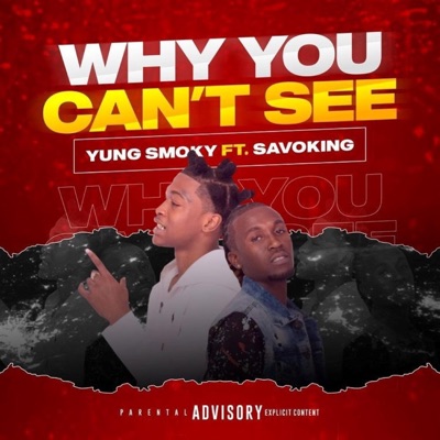 Why you can't see (feat. Savoking) - Single
