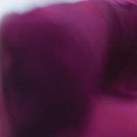 Never Want to Leave - Single - Anett