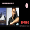 Shamik Chakravarty - Spring (Instrumental)  artwork