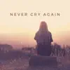 Dash Berlin - Never Cry Again (Amurai Remix Amurai's los Angeles Mix)