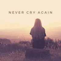 Never Cry Again (Amurai Remix Amurai's los Angeles Mix)